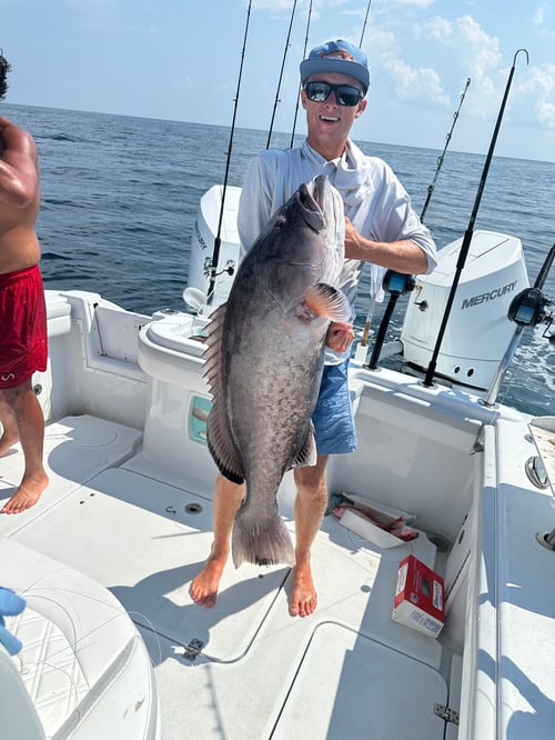 Offshore Canyon & Rig-34'YellowFins