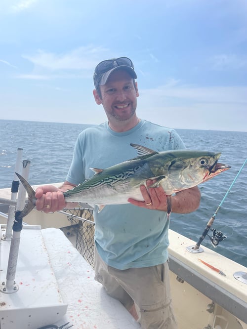 Cape Cod Striped Bass Fishing