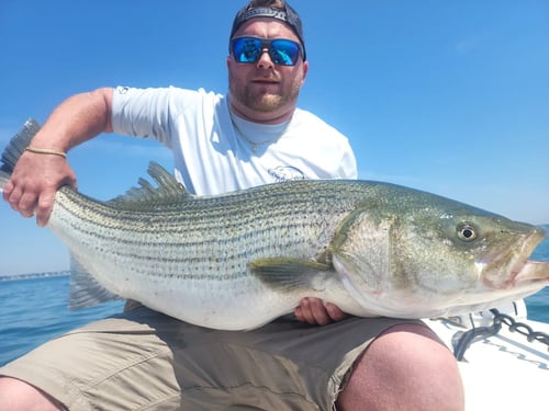 5 Hours Morning Boston Harbor