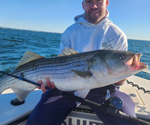 5 Hours Morning Boston Harbor