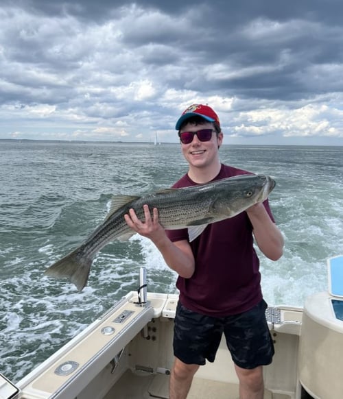 4-8 Hour Trip - Inshore