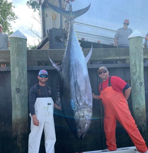 10-12 Hour Trip – Offshore