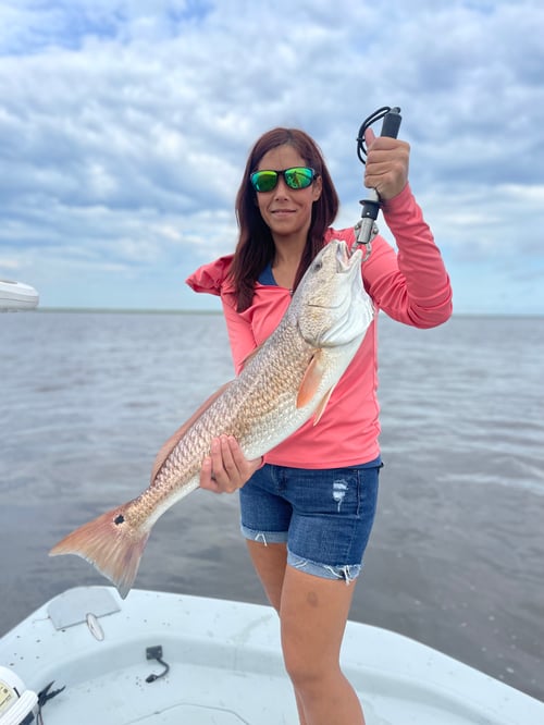 Speckled Trout and Redfish