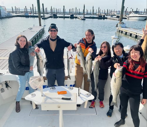 7 Hour Trip – Bass and Blues