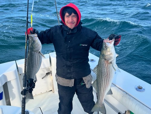 7 Hour Trip – Bass and Blues