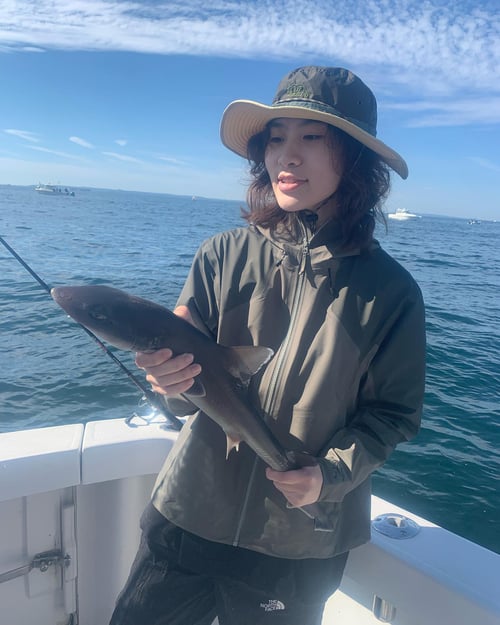 4-7 Hour Trip – Captain's Choice