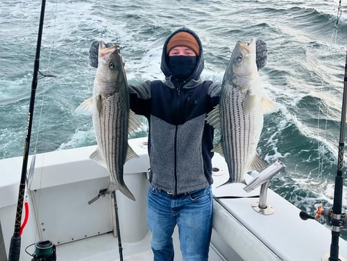 4-7 Hour Trip – Captain's Choice