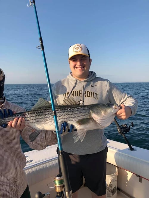 Inshore (STRIPED BASS/BLUEFISH)