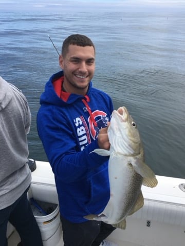 Boston Harbor Stripers & Blues