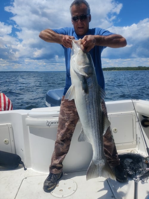 Half Day Trip – Inshore