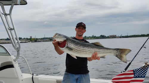 Half Day Trip – Inshore