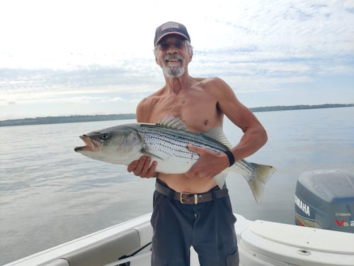 6-12 Hour Trip – Inshore/Nearshore