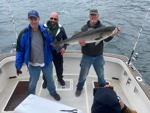 4 Hour – Striped Bass Morning Bite!