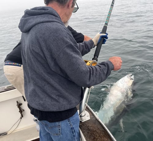 10 Hour Trip – Giant Tuna