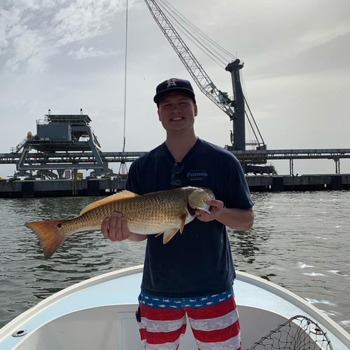 4 Hour Trip – Inshore