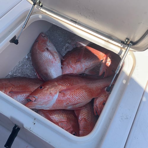 Mississippi Nearshore Trip