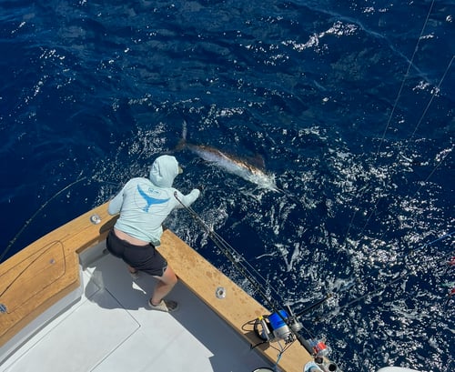 Full Day Offshore Fishing