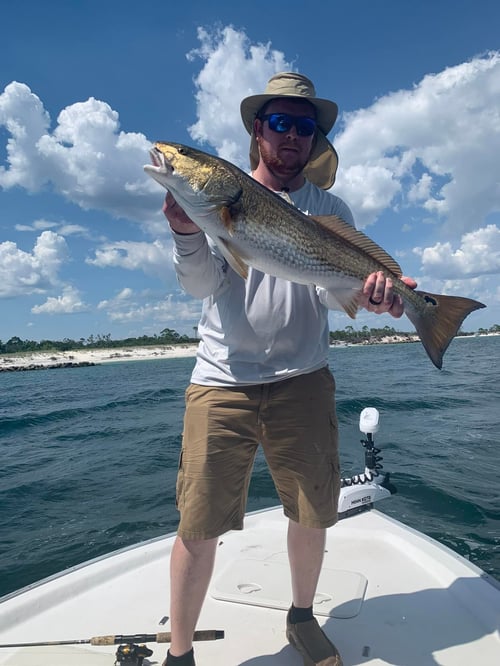 PCB Half Day Inshore