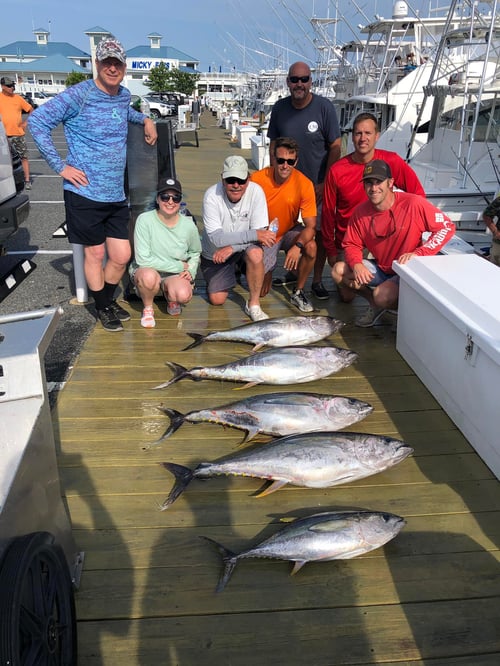 Day Charter (12hr Offshore)