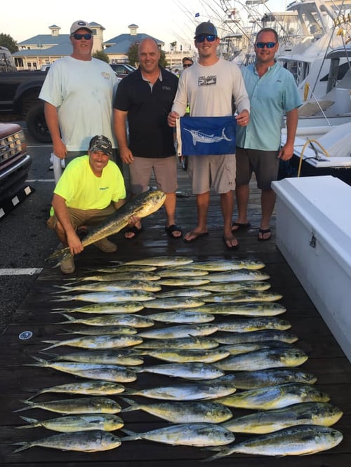 Day Charter (12hr Offshore)