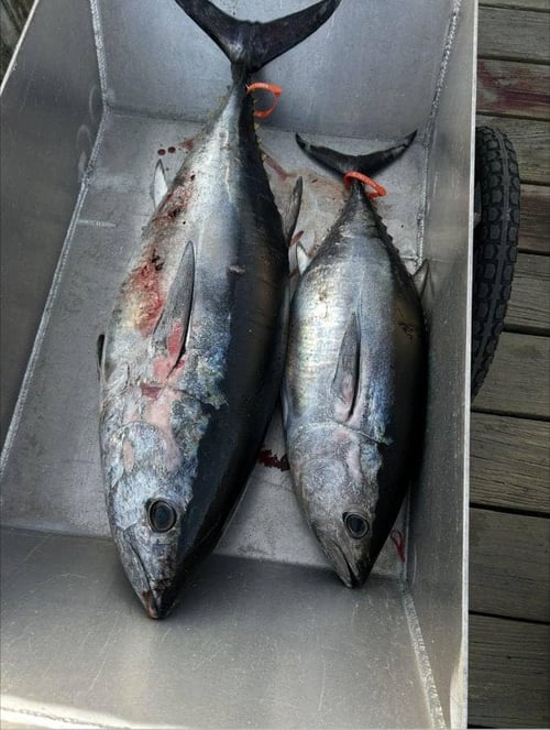 Overnight Charter Trip (Offshore)