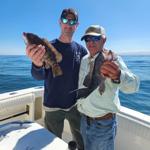 Half/Full Day – Wreck/Bottom Fish