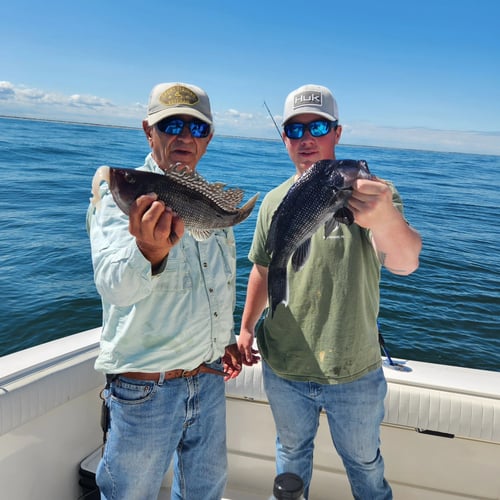 Half/Full Day – Wreck/Bottom Fish