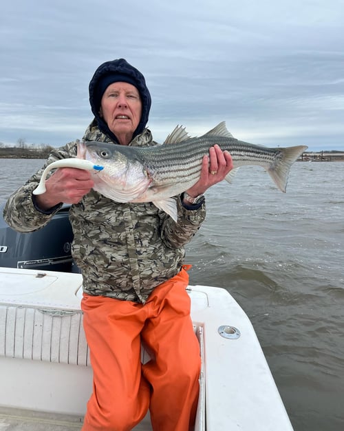 Striped Bass Trip