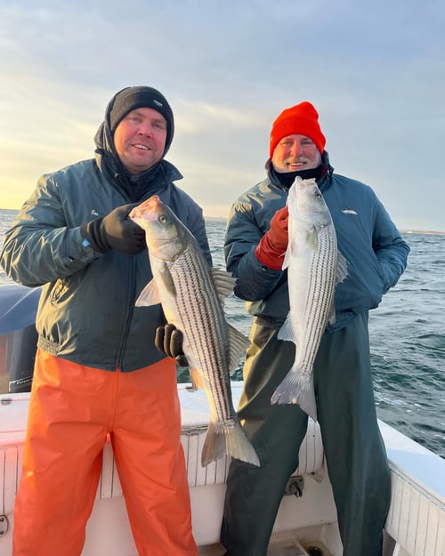 Striped Bass Trip