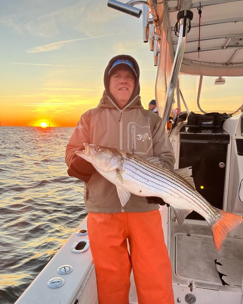Striped Bass Trip
