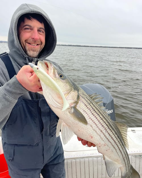 Striped Bass Trip