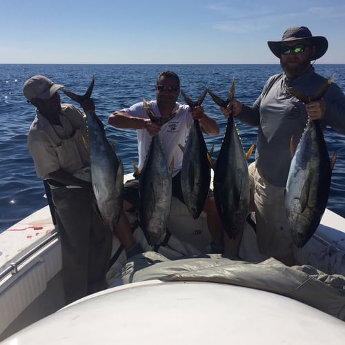 18 Hour Offshore