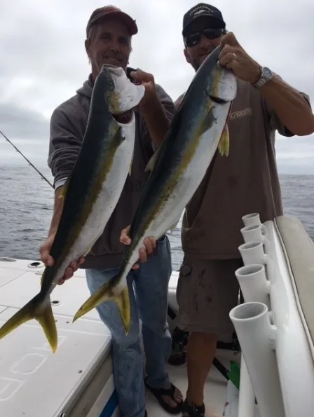 6-8 Hour Trip – Catalina Island