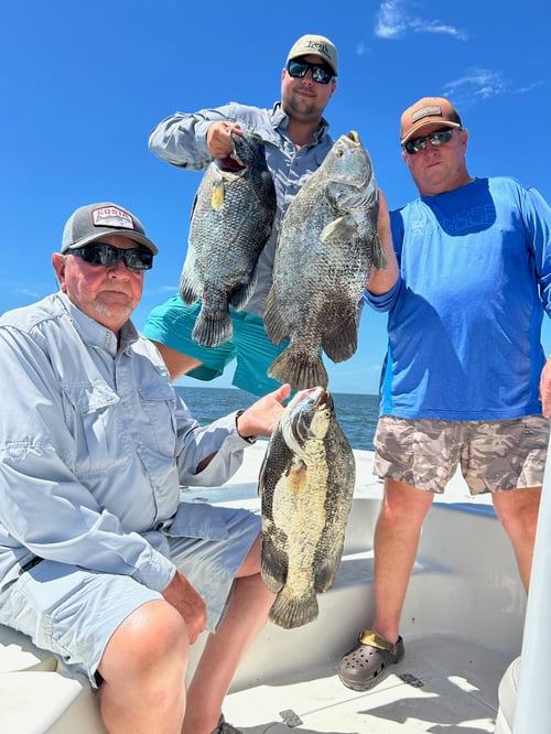 Tripletail Fishing Trip