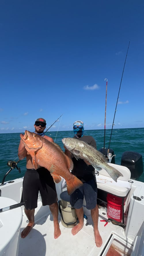 Super grouper/bottom fishing trip