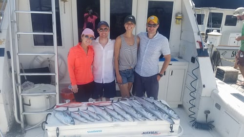 3-4 Hour Bay Fishing/Trolling Trip