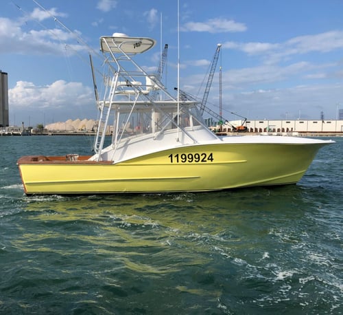 5-9 Hour Offshore Trip