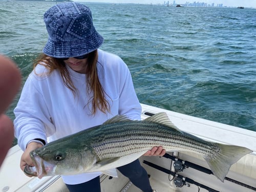 4-6 Hour Trip – Striped Bass