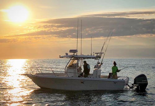 4-6 Hour Trip – Striped Bass