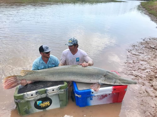 Alligator Gar Fishing in Huntsville, Texas
