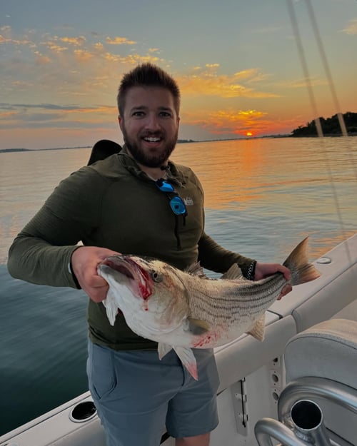 Inshore Striped Bass 