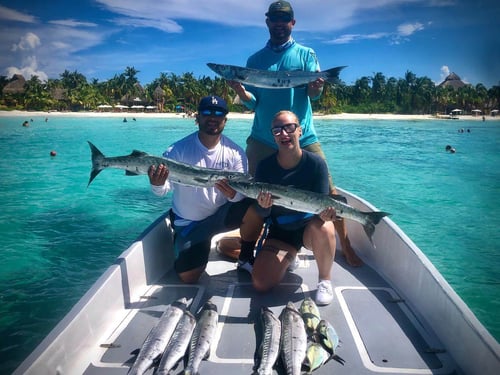 Barracuda Fishing in Cancún, Mexico