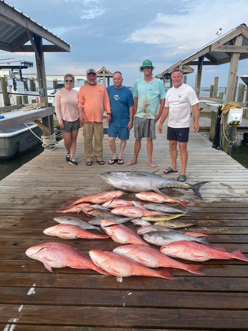 Reef Fish Round Up