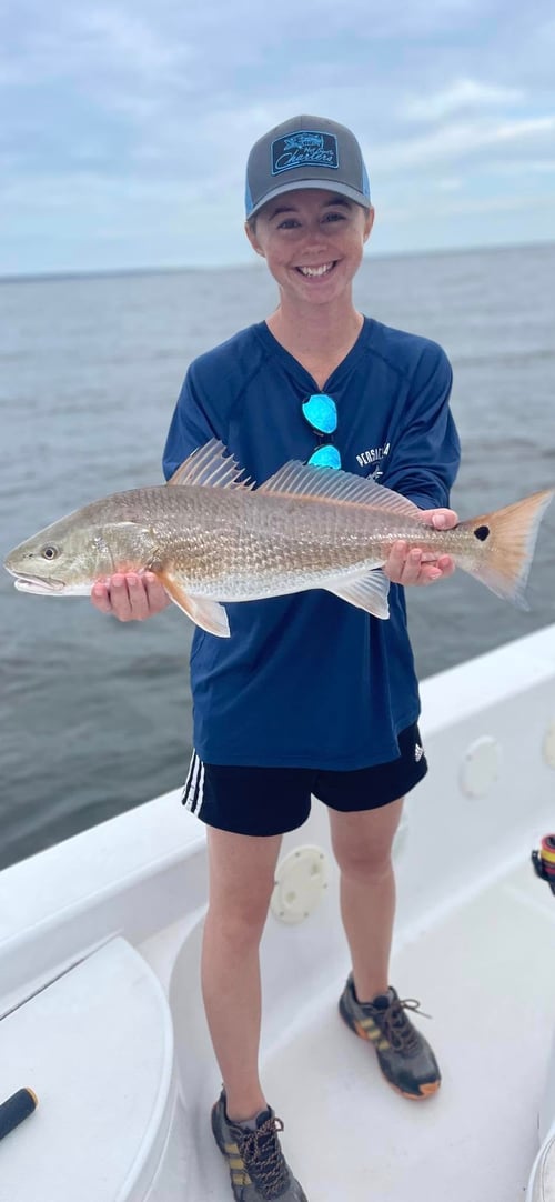 4-6 Hour - Inshore/Nearshore
