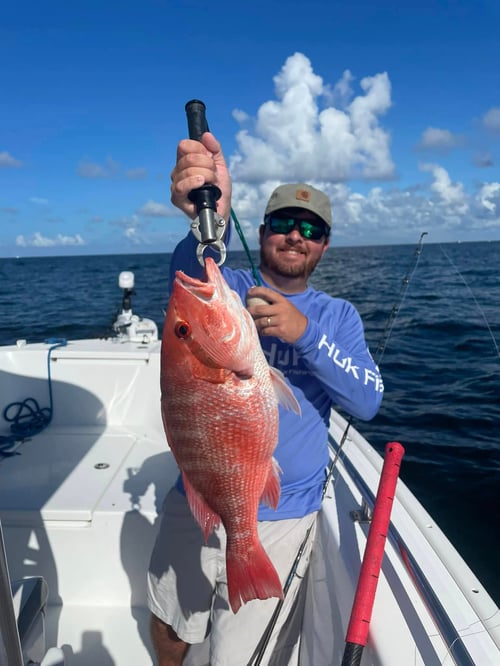 4-6 Hour - Inshore/Nearshore