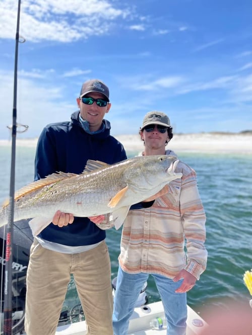 4-6 Hour - Inshore/Nearshore