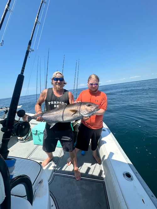 6 Hour – Offshore