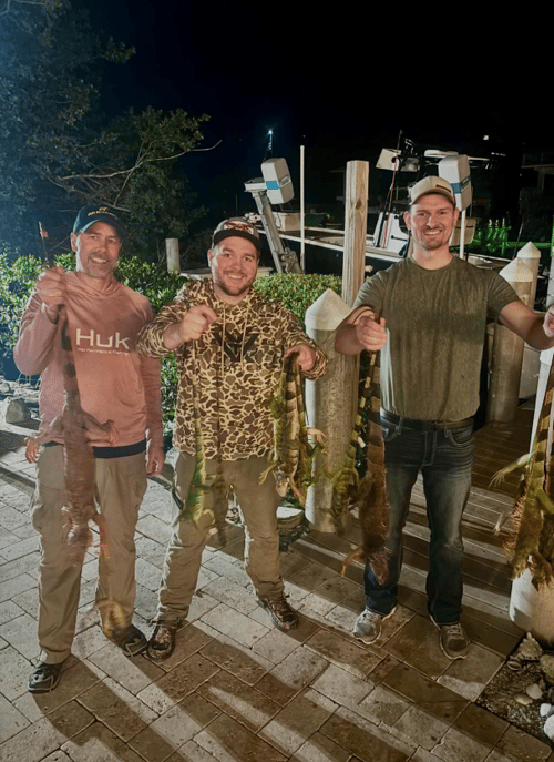 Night Iguana Hunt