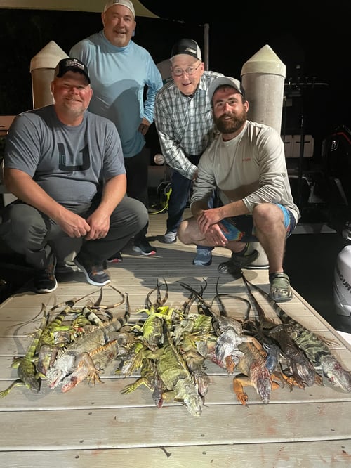 Night Iguana Hunt