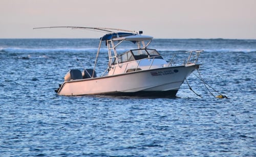 Catch and Cook in Costa Rica